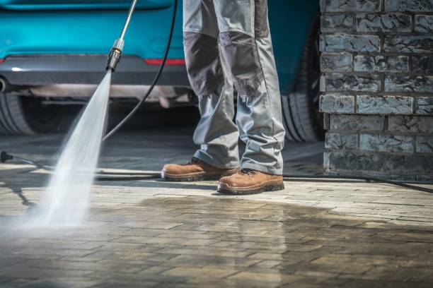 Best Roof Washing  in Davis Junction, IL