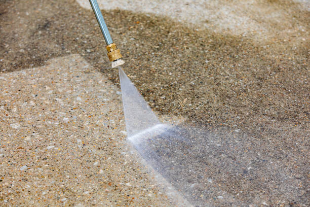 Best Spring Cleaning  in Davis Junction, IL