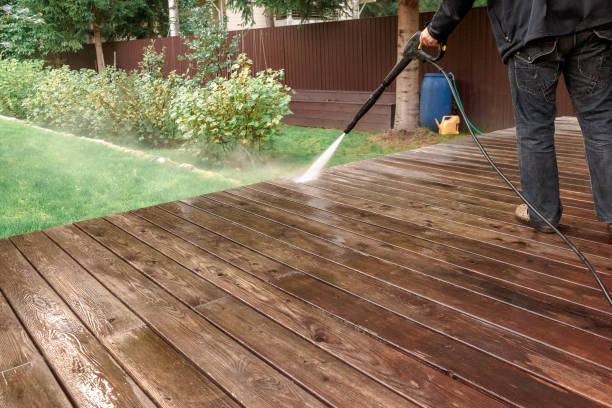 Best Patio and Deck Pressure Washing  in Davis Junction, IL