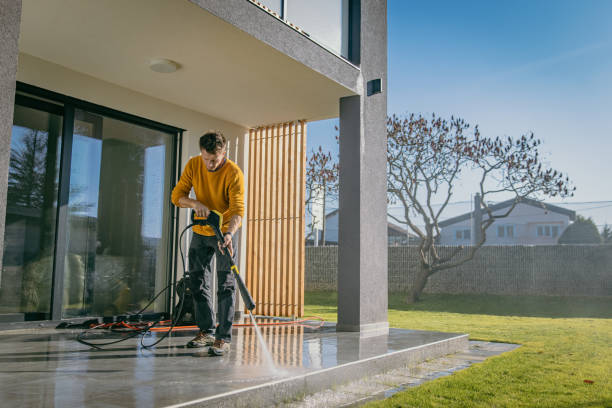 Best Pool Deck Cleaning  in Davis Junction, IL