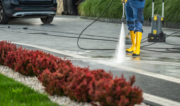 Best House Exterior Washing  in Davis Junction, IL