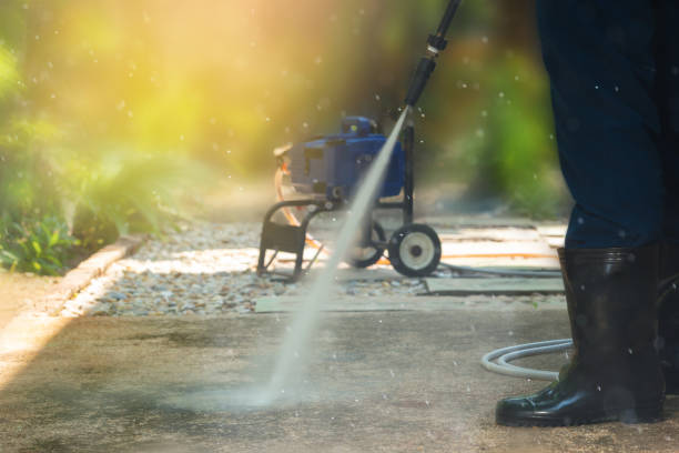 Best Driveway Pressure Washing  in Davis Junction, IL